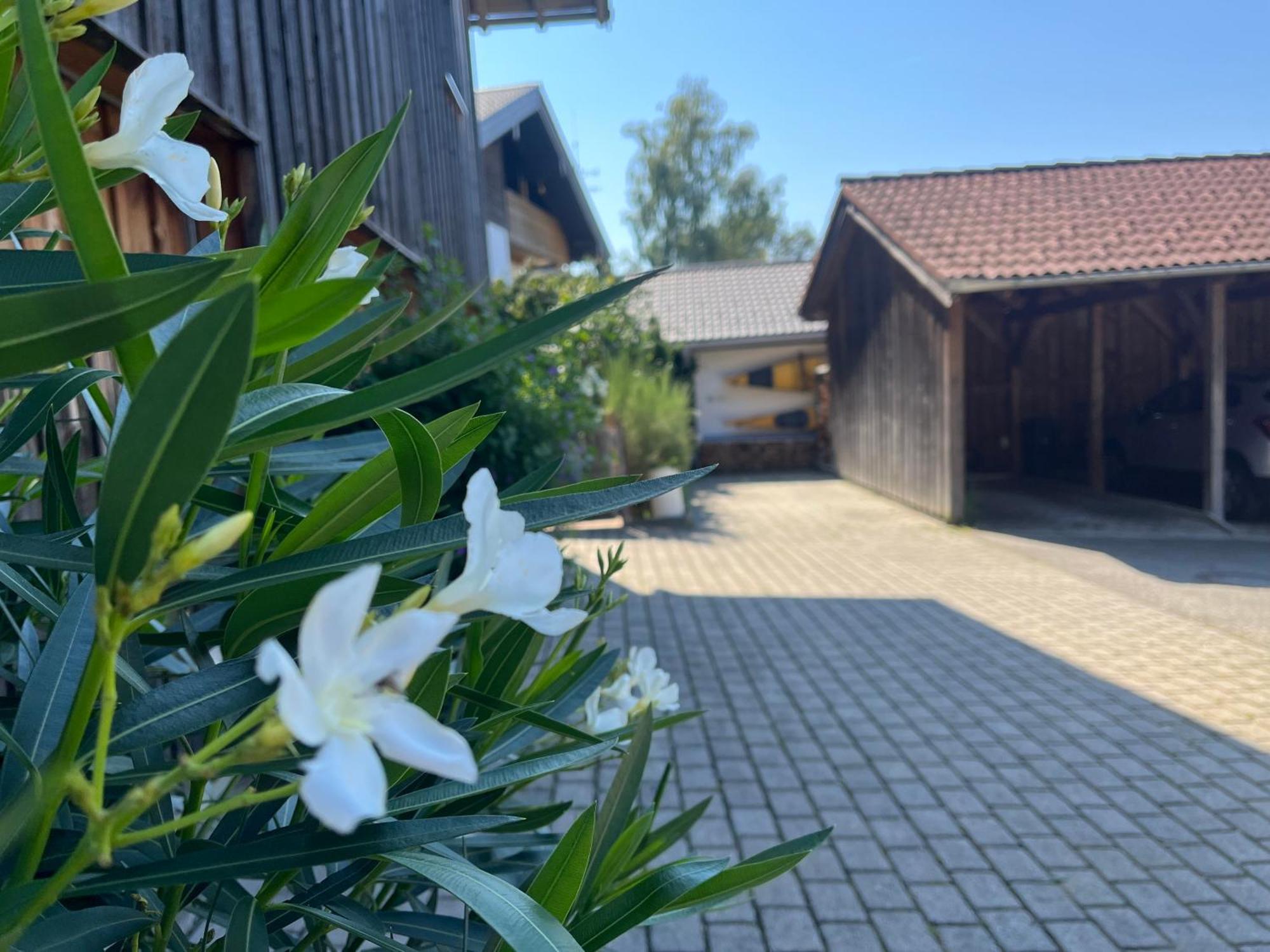 Apartment Wohlfuehlplatzl - Urgemuetlich & Ruhig Vogtareuth Zewnętrze zdjęcie